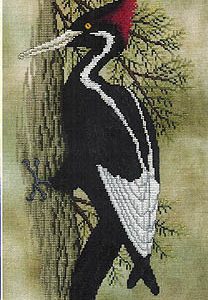 Back From the Brink (Woodpecker)