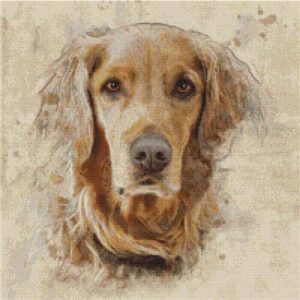 Golden Retriver-Artistic