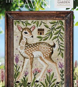 Fawn