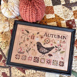 Autumn Blackbird